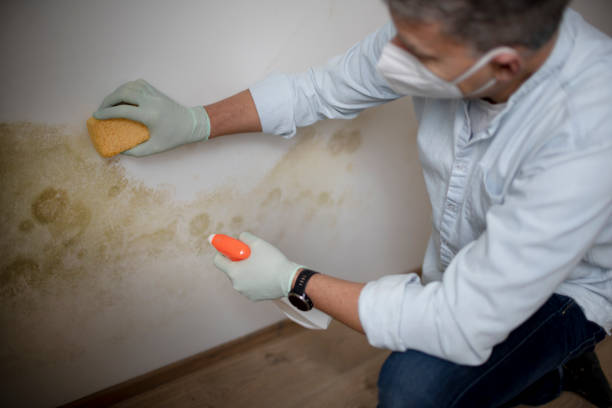 Best Crawl Space Mold Removal  in Clifton, CO